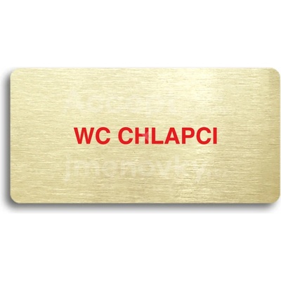 ACCEPT Piktogram WC CHLAPCI - zlatá tabulka - barevný tisk bez rámečku