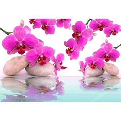 ForWall Fototapety Orchid papier 368 x 254 cm