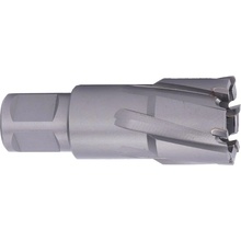 ABSE N-CA-W19-0265035