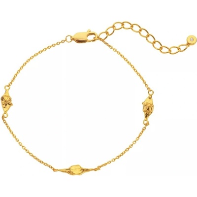 Hot Diamonds Elegantný pozlátený náramok s pravým diamantom Golden Edit Muse DL711