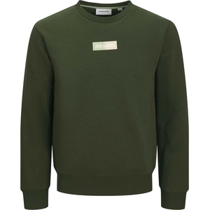 JACK & JONES Блуза jjpan sweat crew neck