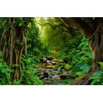 DIMEX ART Флизелинов фототапет река в тропиците 375 x 250 см