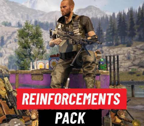 Vigor - Reinforcements Pack