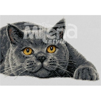 Milena Style Британска късокосместа котка - гоблен със схема конци dmc 1: 1