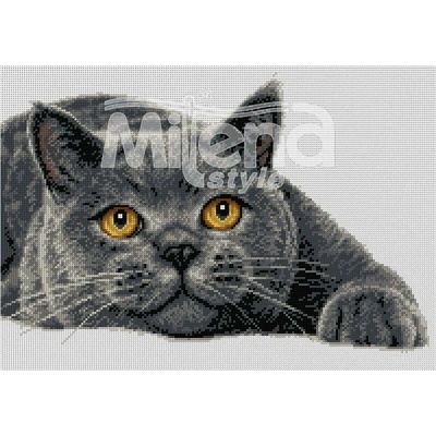 Milena Style Британска късокосместа котка - гоблен със схема конци dmc 1: 1