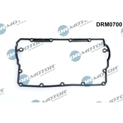 DR.MOTOR AUTOMOTIVE Tesnenie veka hlavy valcov DRM0700