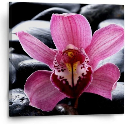 Sablio Obraz Růžová orchidea - 110x110 cm