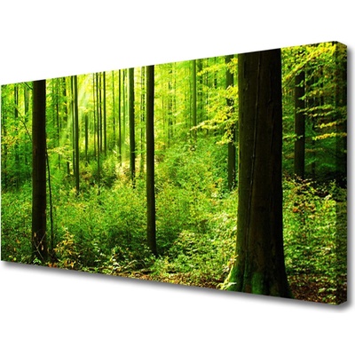 Obraz Canvas Les zeleň stromy príroda 100x50 cm
