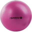 Gymnastické míče Ledragomma Gymnastik Ball Maxafe 65cm