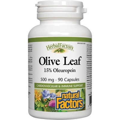 Natural Factors Olive Leaf 500 mg [90 капсули]