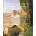 Thomas Cole | Annette Blaugrund, Franklin Kelly