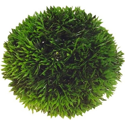 Hobby Plant Ball 13 cm