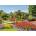 Ravensburger - Puzzle Beautiful Gardens: Parc Pallavicino, Italy - 1 000 piese
