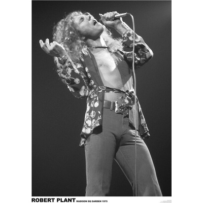 Plagát, Obraz - Led Zeppelin - Robert Plant March 1975 (colour), 59.4 × 84.1 cm
