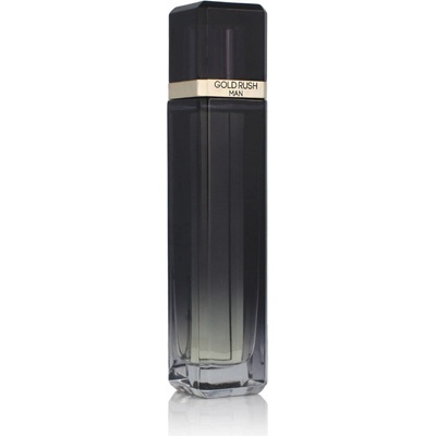 Paris Hilton Gold Rush Man toaletní voda pánská 100 ml tester