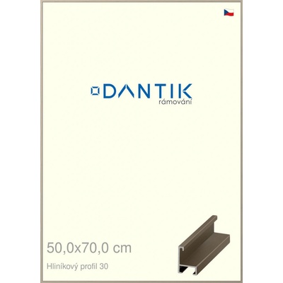 DANTIK rám na obraz 50 x 70 champagne