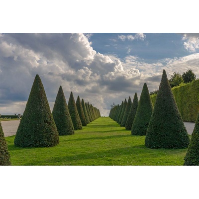 DIMEX ART Флизелинов фототапет шато версай iii. 375 x 250 см