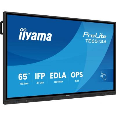 iiyama ProLite TE6513A-B2AG