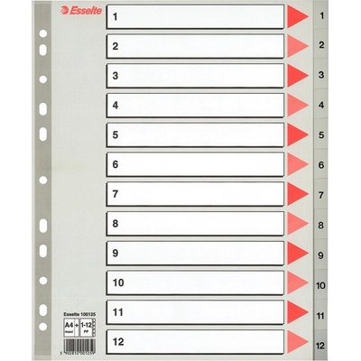 Farebné registre, šedá, A4 Maxi, plast, 1-12, ESSELTE