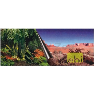 Duvo+ pozadí oboustranné Jungle / Desert 120 x 50 cm – Zboží Mobilmania