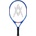 Volkl EVO 21