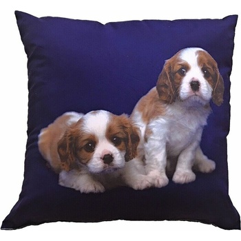 Dadka FotoVankúš Dva béžovohnedé psy 40x40