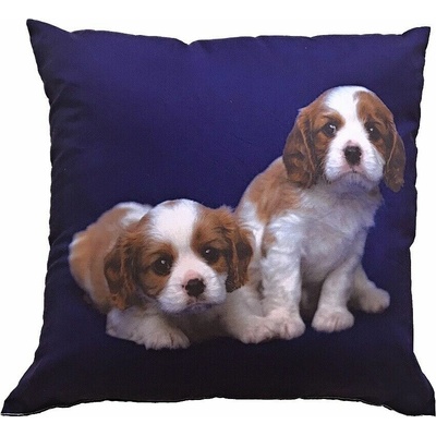 Dadka FotoVankúš Dva béžovohnedé psy 40x40