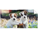 Carbotex Osuška Bráškovej Jack Russell Teriér 70 x 140 cm