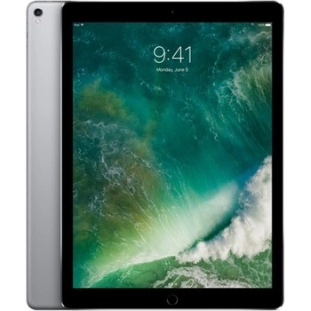 Apple iPad Pro Wi-Fi 256GB Space Gray MP6G2FD/A