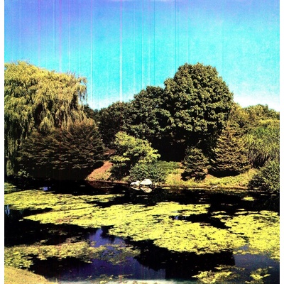 Shellac - Terraform (180 g) (LP) (0036172090013)