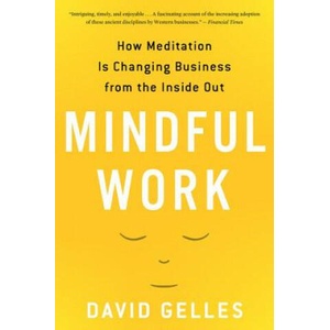 Mindful Work | David Gelles (2016)