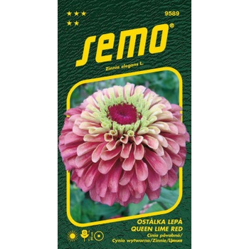 Semo Cínia Lepąie - Queen Lime Red 15s