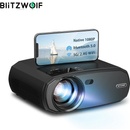 BlitzWolf BW-VP13