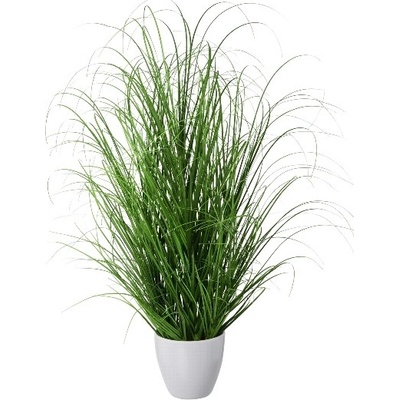 Tráva ker v bielom kvetináči, 75cm