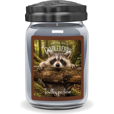 Candleberry Candle Toulky po lese 624 g