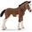 Schleich жребче клайдсдейлско (13810)