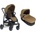 Graco Evo