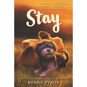 Stay | Bobbie Pyron (ISBN: 9780062839237)