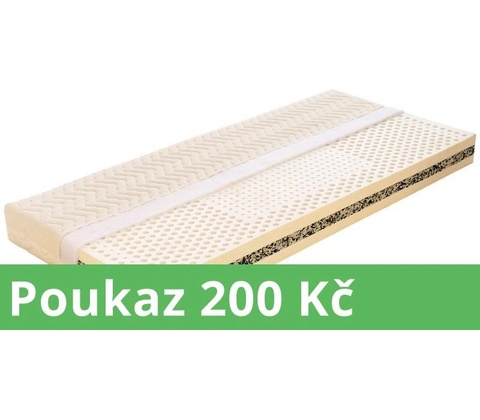 Dřevočal Lucie