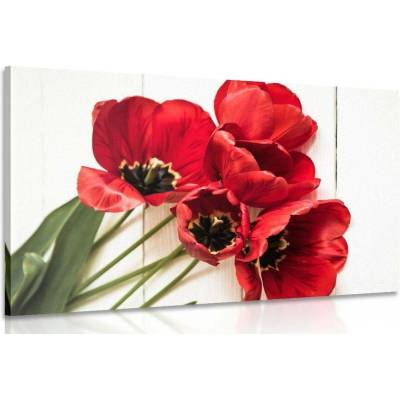 Obraz rozkvetlé červené tulipány - 40x30