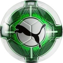 Puma evoPOWER 1.3 Futsal