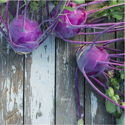 Kedluben raný modrý Purple Vienna - Brassica oleraca - semena kedlubnu - 100 ks