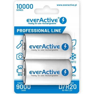 everActive D 10000 mAh 2 ks EVHRL20-10000