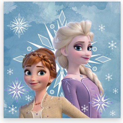 Aptex DETSKÝ FROTÉ UTERÁK FROZEN 30 x 30 CM VZOROVANÝ