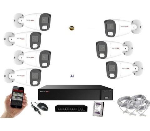 Monitorrs Security 6143K7B