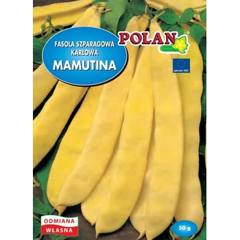 Karlova fazuľa Mamutina semená 50 g