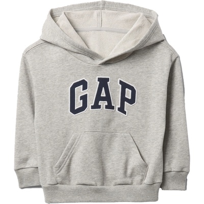 GAP V-frch logo 2y