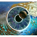 PINK FLOYD: PULSE CD
