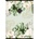 STREET Тетрадка карирана STREET A/4 54 страници Botanic 63301 (63301)