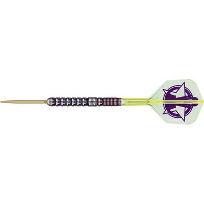 Target steel SP Luke Littler World Champion 2025 23g